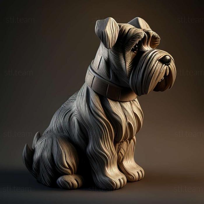 Zwergschnauzer dog